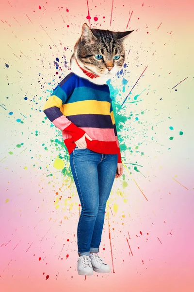 当代艺术拼贴全身肖像休闲小猫头女人穿牛仔裤和彩虹毛衣摆在手在口袋里 现代风格流行艺术的锌文化理念 有趣的猫改造 — 图库照片