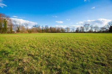 yeşil alan arka plan