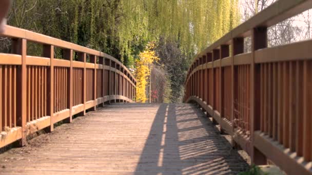 Unga Atletisk Man Tränar Idrott Utomhus Kör Snabbt Längs Bron — Stockvideo