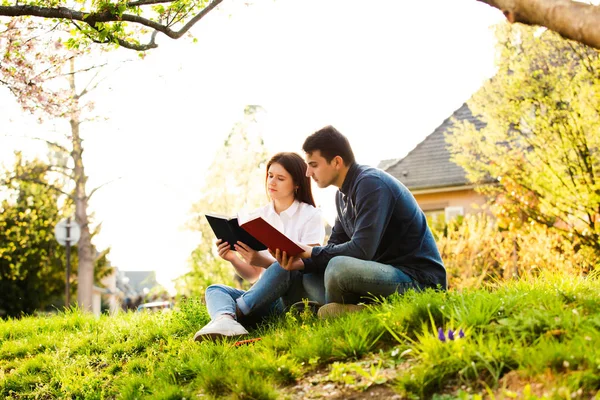 Students learning for exam together in a city park — Stock Photo, Image