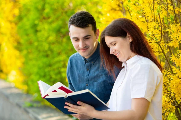 Estudantes aprendendo para o exame juntos em um parque da cidade — Fotografia de Stock