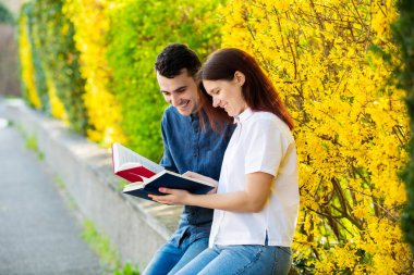 Sınav için birlikte bir şehir parkında öğrenen öğrenciler