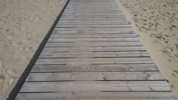 Walking Wooden Path Beach Dune Video — Stock Video