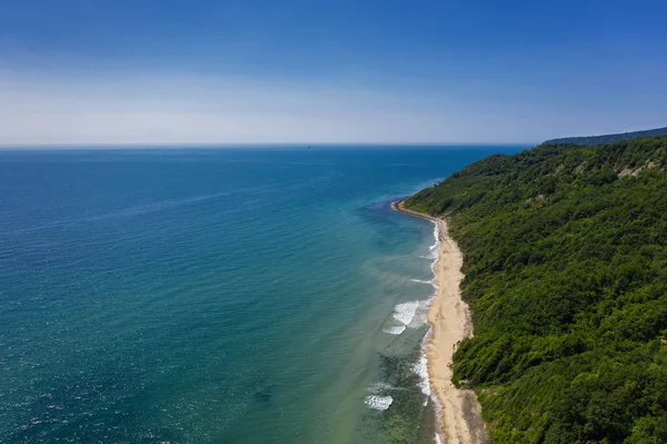 Güzel Plaj Orman Aaerial Görünümü — Stok fotoğraf