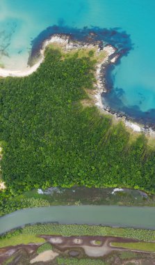 Deniz kıyısındaki bir nehrin havadan görünüşü