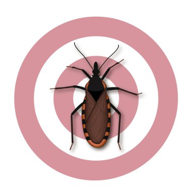 Öpüşme Bug, kurbanının yüzünde kan emer, Chagas hastalığına neden olan Trypanosoma cruzi parazit taşıyabilir, ciddi bir halk sağlığı endişe, bazı kırmızı var, sarı, tan işaretleri.