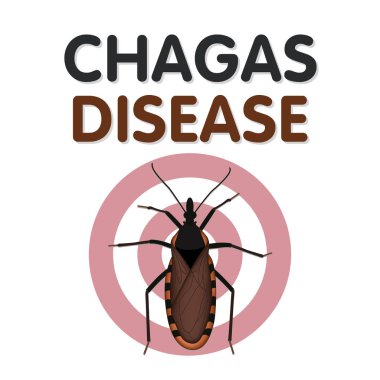Chagas Disease, caused by parasite Trypanosoma cruzi carried by Kissing bugs that bite and suck blood from their victims face, insects are brown to black, some have red, yellow, tan markings. clipart