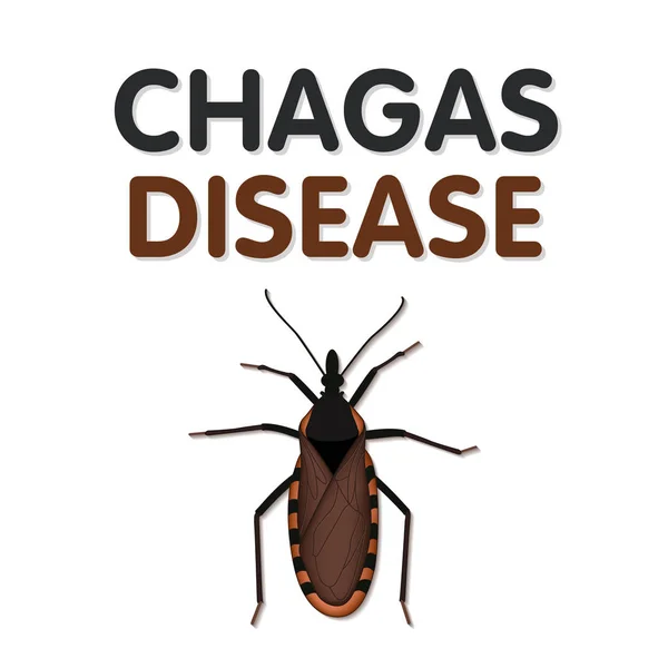 Chagas Hastalığı, parazit Trypanosoma cruzi tarafından taşınan bu ısırık ve kurbanların yüz kan emmek böcek tarafından taşınan, böcekler siyah kahverengi, bazı kırmızı, sarı, tan işaretleri var.