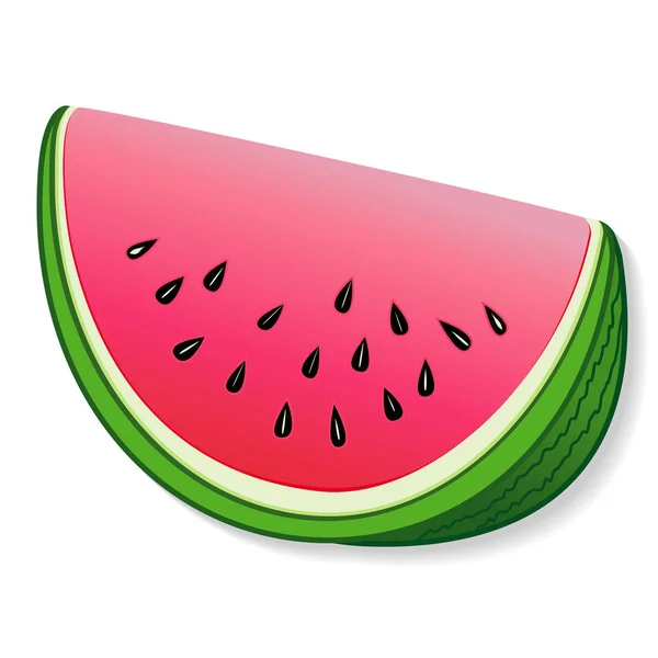 Wassermelone Scheibe Frische Saftige Gartenwassermelone Mit Samen Isoliert Auf Weißem — Stockvektor