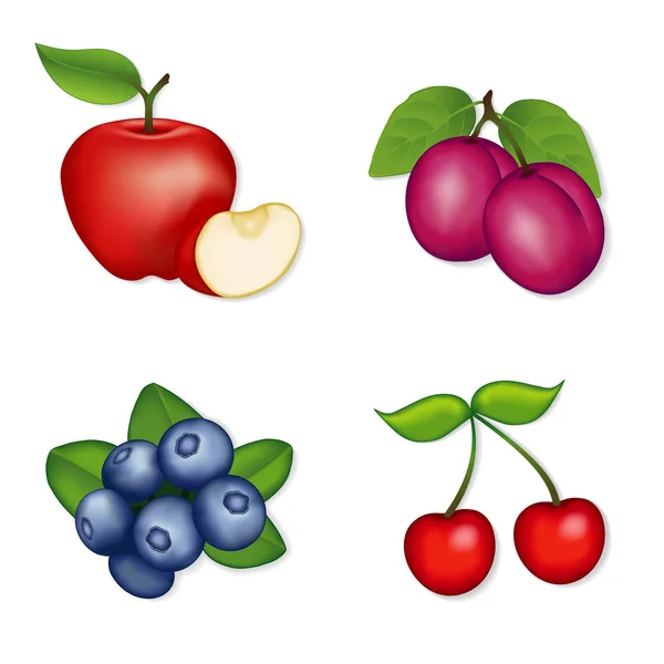 苹果，蓝莓，樱桃，梅子，新鲜，多汁的花园和果园水果: — 图库矢量图片