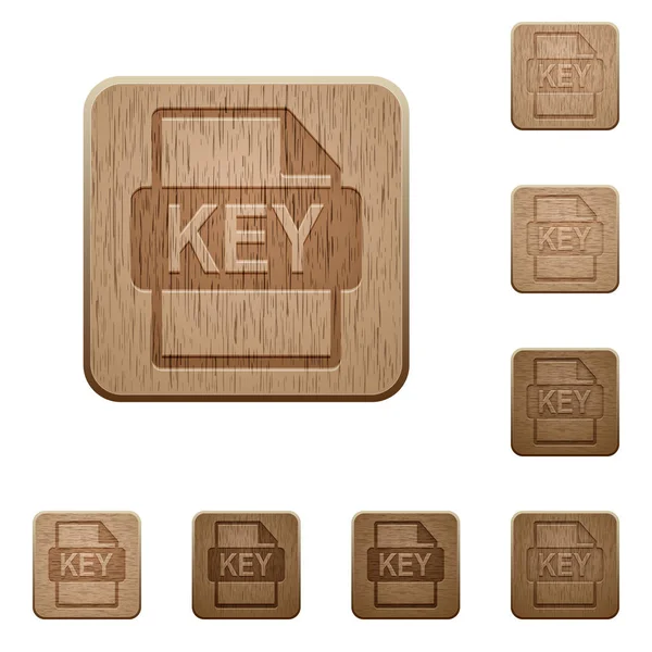 Private Key File Ssl Certification Rounded Square Carved Wooden Button — Stock Vector
