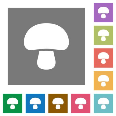 Basit renkli kare arka planlar üzerinde mantar düz simgeler