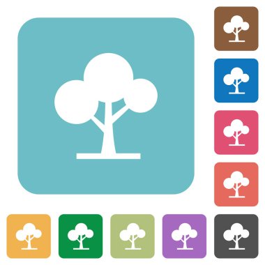 Yapraklı ağaç beyaz düz simgeler renk üzerinde yuvarlak kare arka planlar