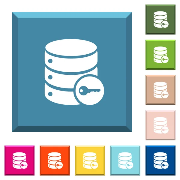 Base Données Sécurisée Icônes Blanches Sur Les Boutons Carrés Lisérés — Image vectorielle