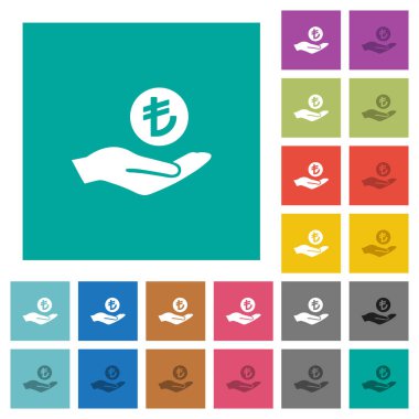 Türk Lirası kazanç çok düz simgeler düz kare arka plan üzerinde renkli. Beyaz ve koyu kutsal kişilerin resmi varyasyon hover veya etkin efektleri dahil.