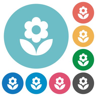 Düz beyaz çiçek simgeleri yuvarlak renkli arka planlar