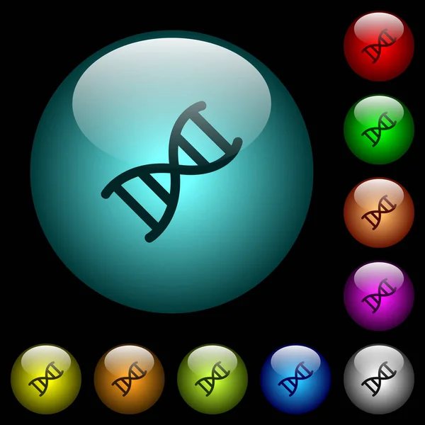 在黑色背景下 彩色亮球形玻璃按钮上的 Dna 分子图标 可用于黑色或深色模板 — 图库矢量图片