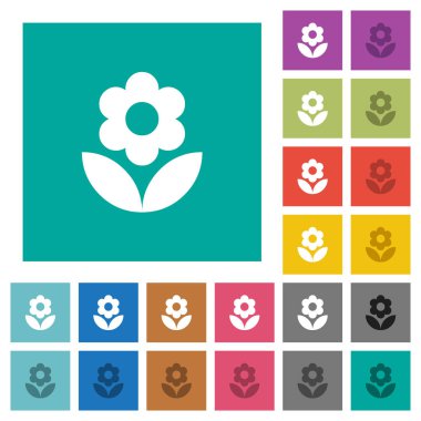 Çiçek çok düz simgeler düz kare arka plan üzerinde renkli. Beyaz ve koyu kutsal kişilerin resmi varyasyon hover veya etkin efektleri dahil.