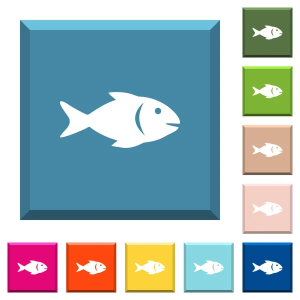 在各种时髦颜色的边缘方形按钮上的鱼白色图标 — 图库矢量图片