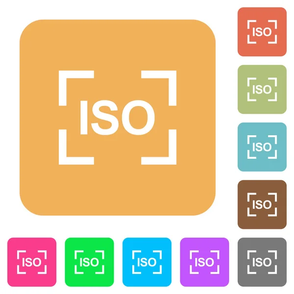 Camera Iso Speed Setting Flat Icons Rounded Square Vivid Color — Stock Vector