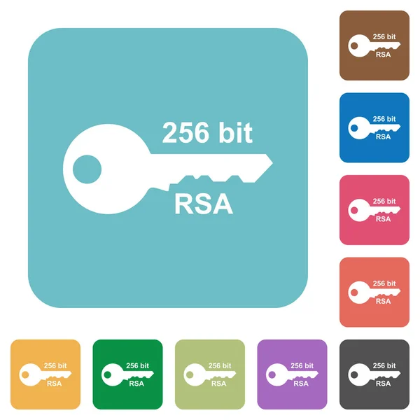 Iconos Planos Blancos Cifrado Rsa 256 Bits Fondos Cuadrados Redondeados — Vector de stock