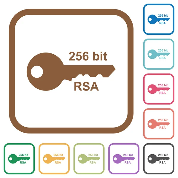 256 ビットの Rsa 暗号化シンプルなアイコンの色で丸みを帯びた白地に正方形のフレーム — ストックベクタ