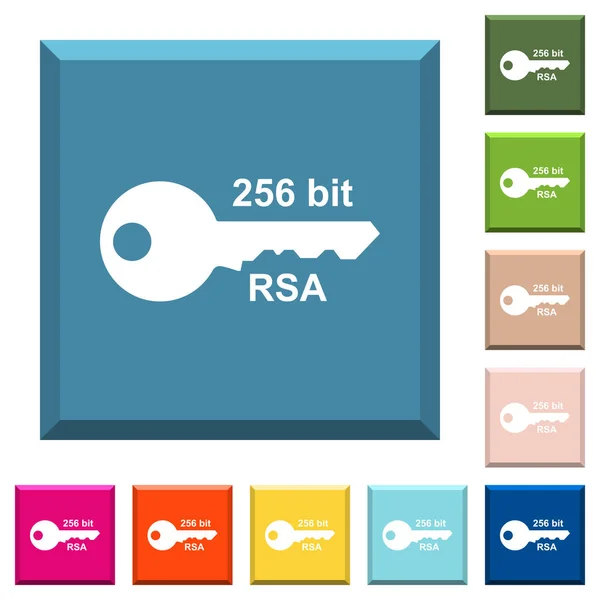 Iconos Blancos Cifrado Rsa 256 Bits Botones Cuadrados Con Bordes — Vector de stock