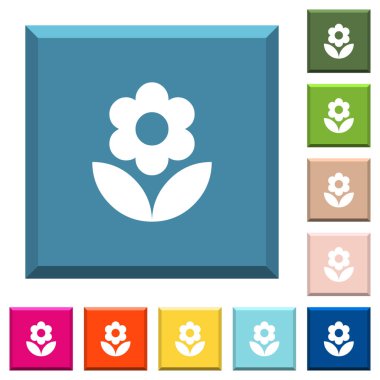 Beyaz çiçek simgeleri çeşitli moda renklerde ucu keskin kare düğmeleri