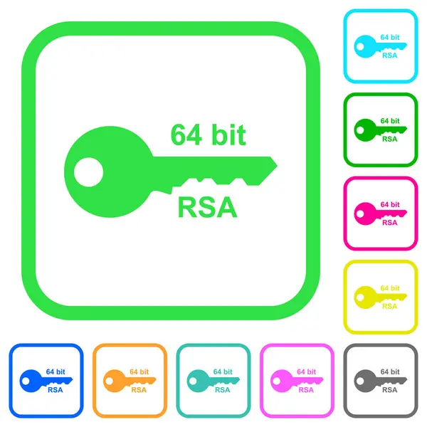 Bits Cryptage Rsa Vives Icônes Plates Couleur Dans Les Bordures — Image vectorielle