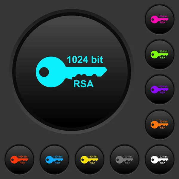 1024 ビット Rsa 暗号化暗いプッシュ ボタン暗い灰色の背景に色鮮やかなアイコン — ストックベクタ