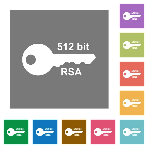 Icônes Plates Cryptage Rsa 512 Bits Sur Des Fonds Carrés — Image vectorielle