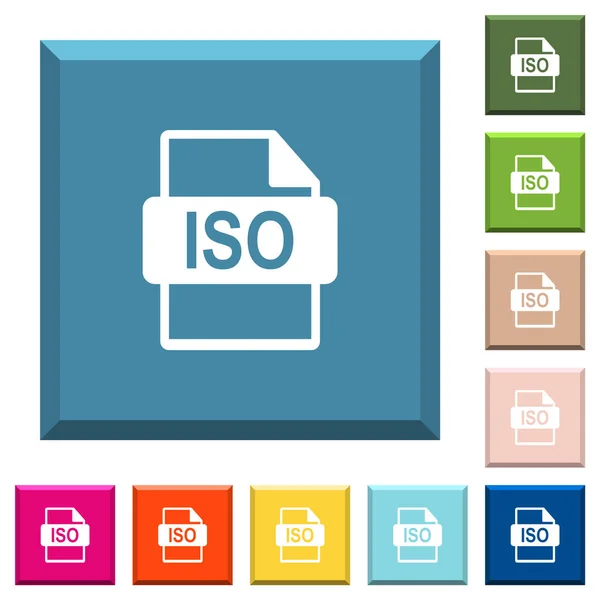 Iso File Format White Icons Edged Square Buttons Various Trendy — Stock Vector