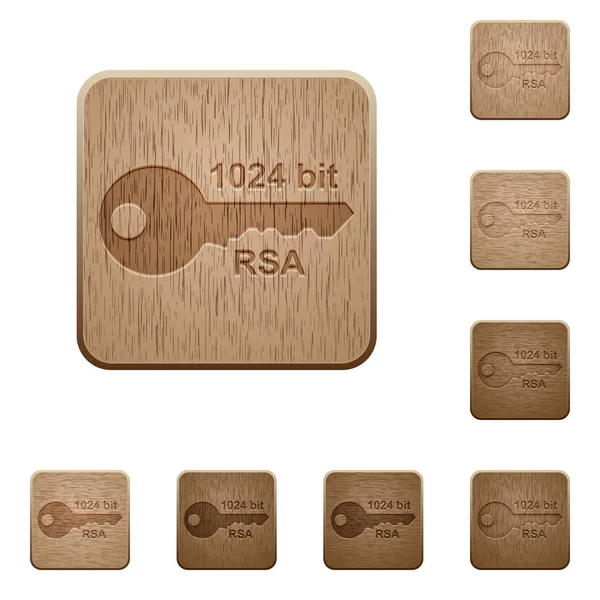 丸みを帯びたスクエアの 1024 ビットの Rsa 暗号彫刻木製ボタンのスタイル — ストックベクタ