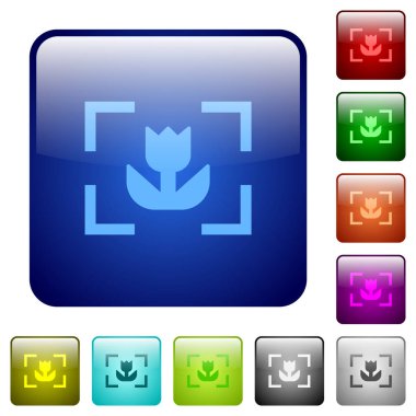 Yuvarlatılmış kare renkli parlak düğme kamera makro modu simgeleri ayarla