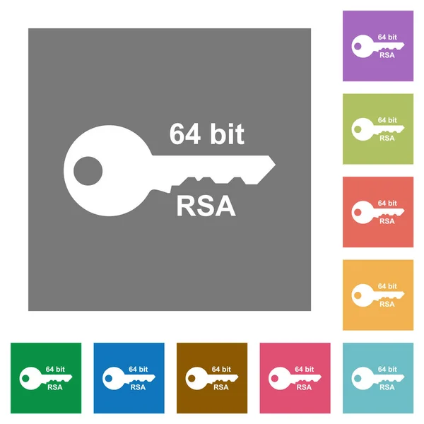 Bits Cryptage Rsa Icônes Plates Sur Fond Carré Couleur Simple — Image vectorielle