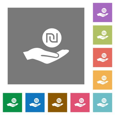 İsrail Yeni Şekeli kazanç düz simgeler basit renkli kare arka planlar