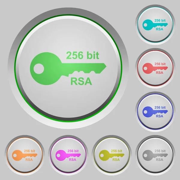 256 비트 rsa 암호화 푸시 버튼 — 스톡 벡터