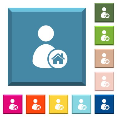 Kenarlı kare düğmelerde kullanıcı ev beyaz simgeleri