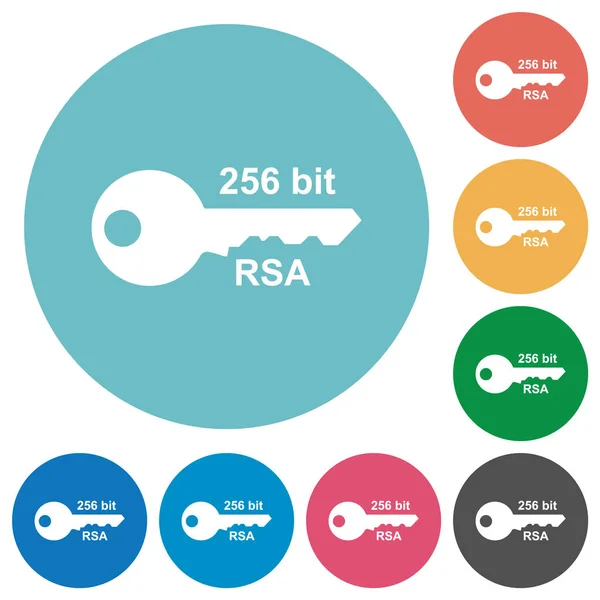 256 bits cryptage rsa plat icônes rondes — Image vectorielle