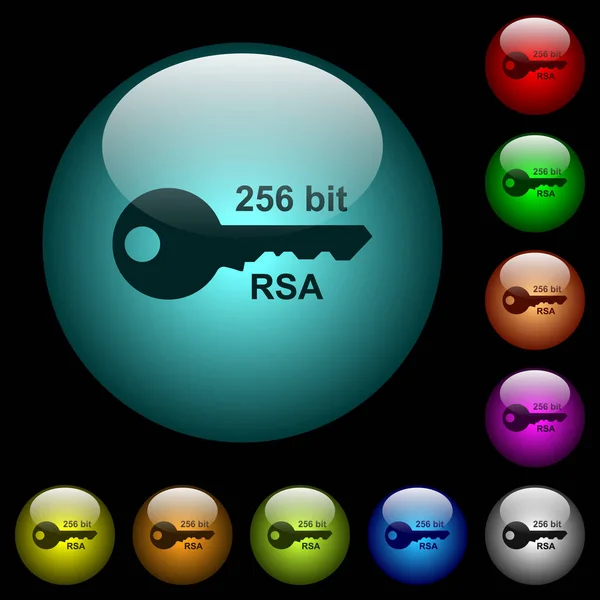 Icônes de cryptage rsa 256 bits en boutons en verre lumineux couleur — Image vectorielle