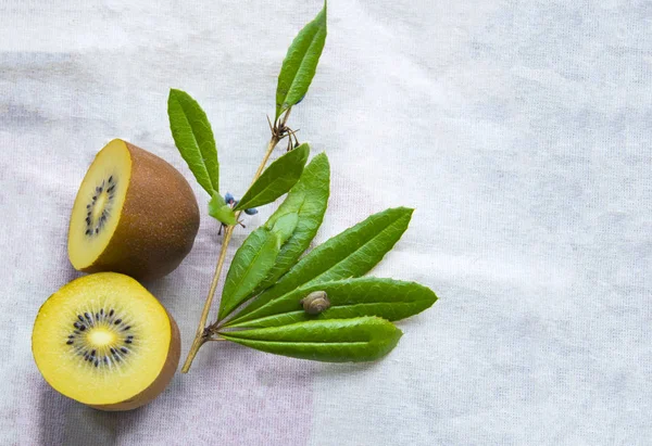 Ripe kiwi in a wooden dish on a cloth background. Healthy eating