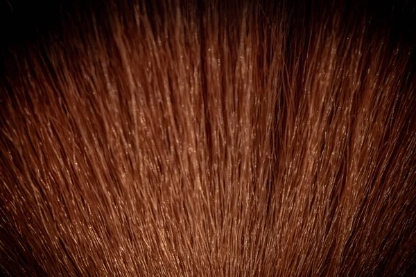 背景としても適しているブラシの毛の完全なフレームのイメージ — ストック写真