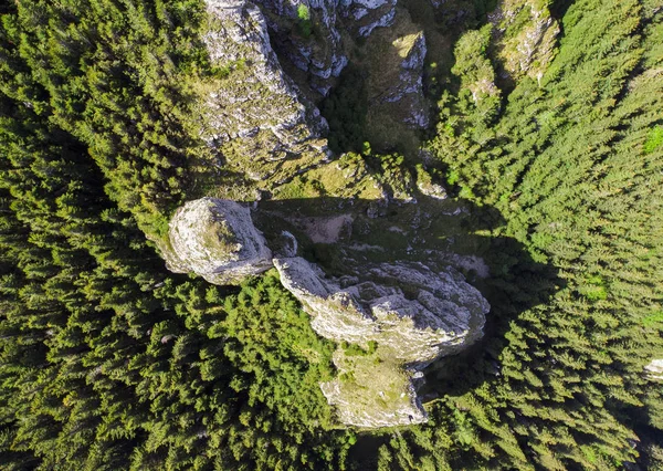 山の岩と森の劇的な眺め Ceahlau ルーマニア — ストック写真
