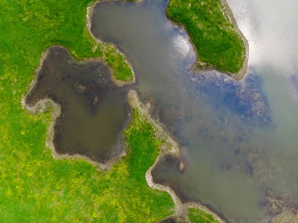 Göl Bataklık Havadan Görünümü — Stok fotoğraf