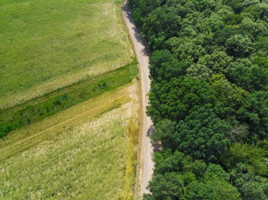 Uçak üzerinden çayır ve orman yolu havadan görünümü