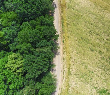 Uçak üzerinden çayır ve orman yolu havadan görünümü