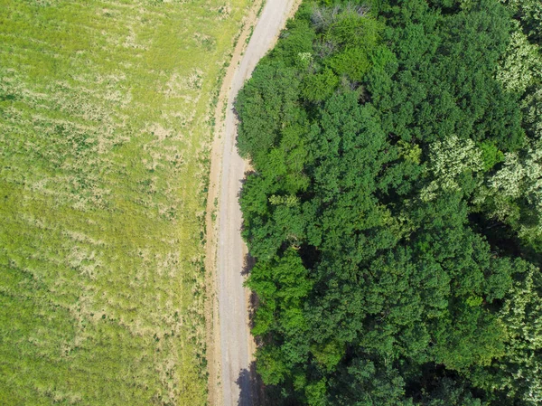 Vista Aérea Floresta Estrada Prado Drone — Fotografia de Stock