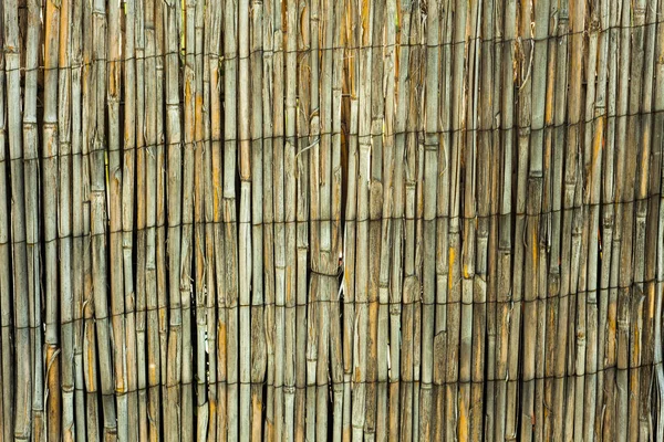 Clôture Bois Bambou Sec Texture — Photo