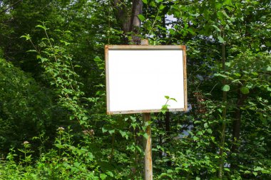 boş beyaz tahta yeşil ormanın içinde. doğa fotoğraf
