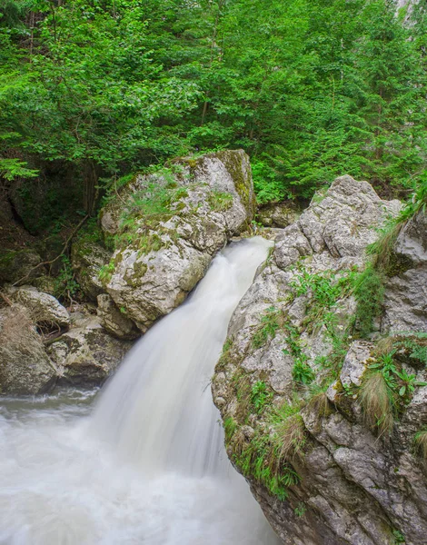 Vodopád Přírodě Kamením Lesní Krajina — Stock fotografie